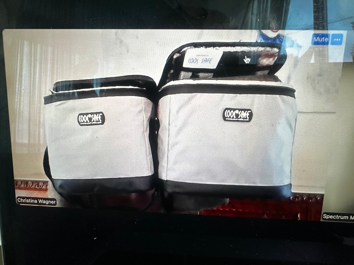 Medical Cooling Bag – 24-Hour Temperature-Controlled Transport (2°C–8°C)